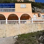 Alexander פאלאוקסטריצה