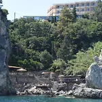 Alexander